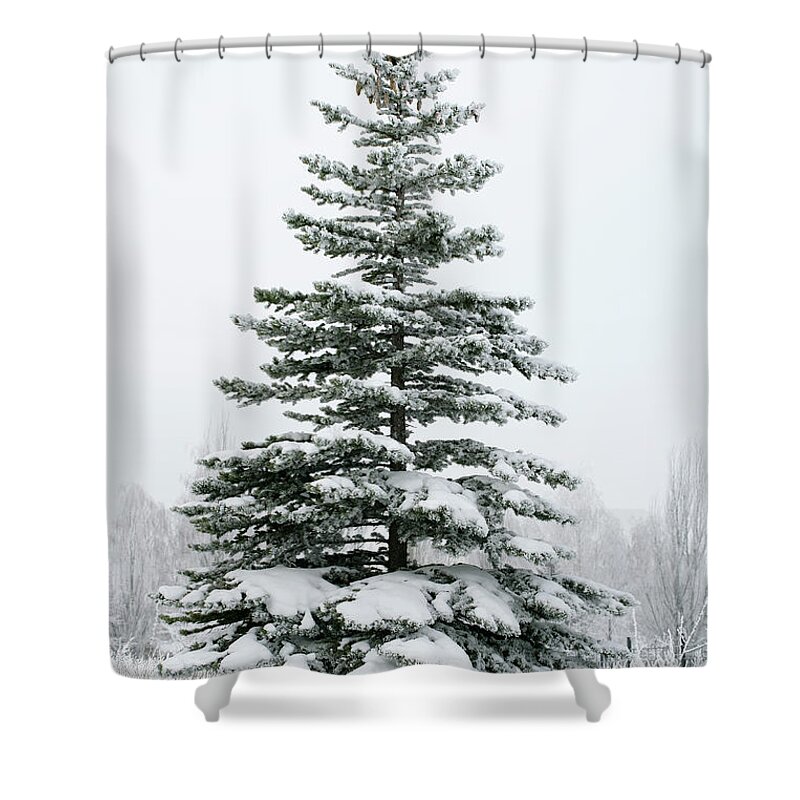 Scenics Shower Curtain featuring the photograph A Fir Tree Covered In Snow Outside by Viorika