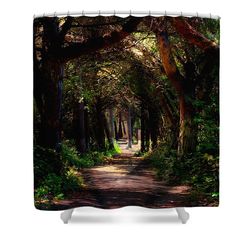 Forest Shower Curtain featuring the photograph A Forest Path -Dungeness Spit - Sequim Washington by Marie Jamieson