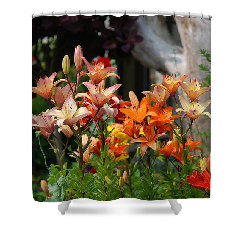 Lillies Shower Curtain featuring the photograph A Garden of Lillys for Susan by Kathy Paynter