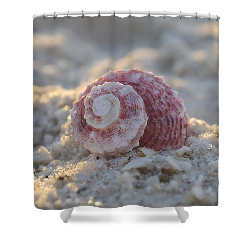 Seashell Shower Curtain featuring the photograph A Gentle Strength by Melanie Moraga