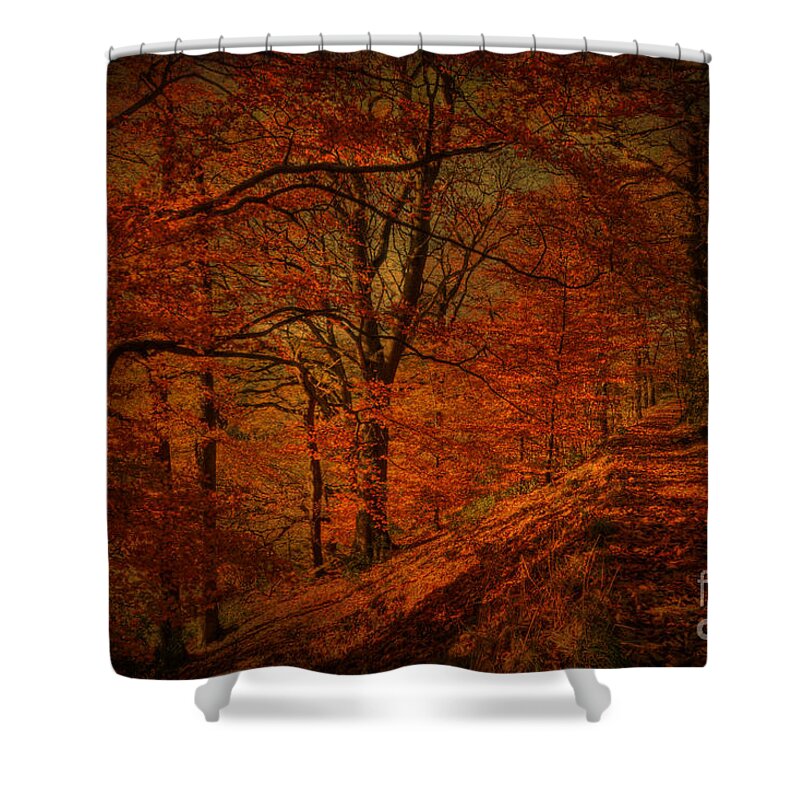 Woodland Shower Curtain featuring the photograph A Golden day by David Birchall