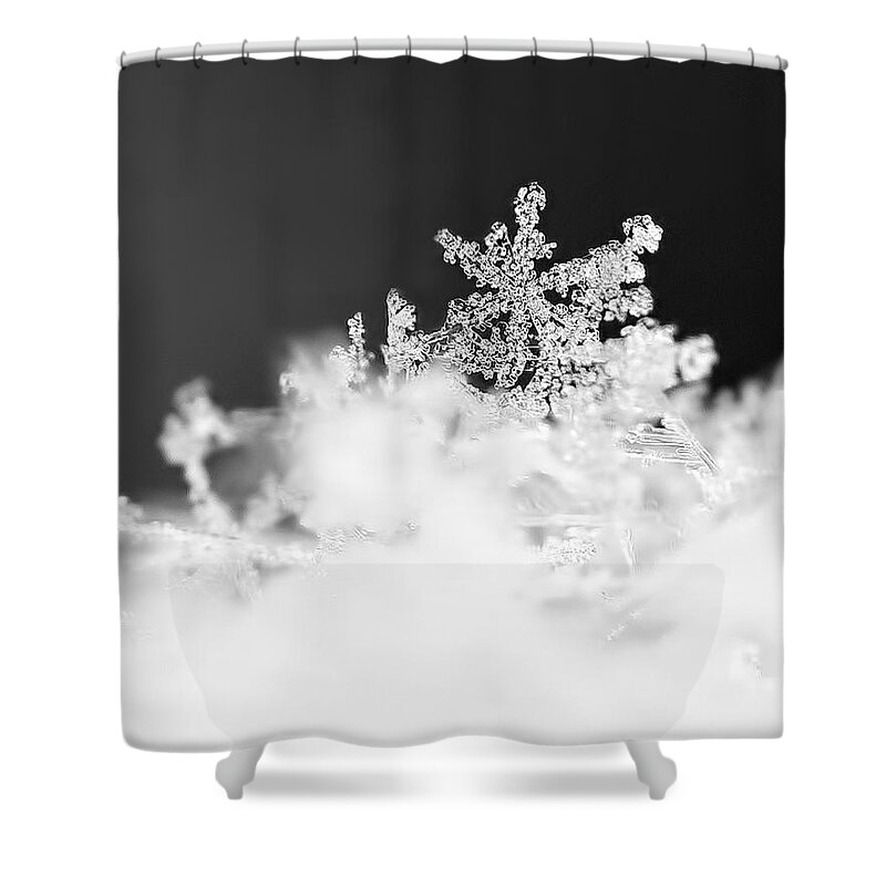 Snowflake Shower Curtain featuring the photograph A Jewel of a Snowflake by Rona Black