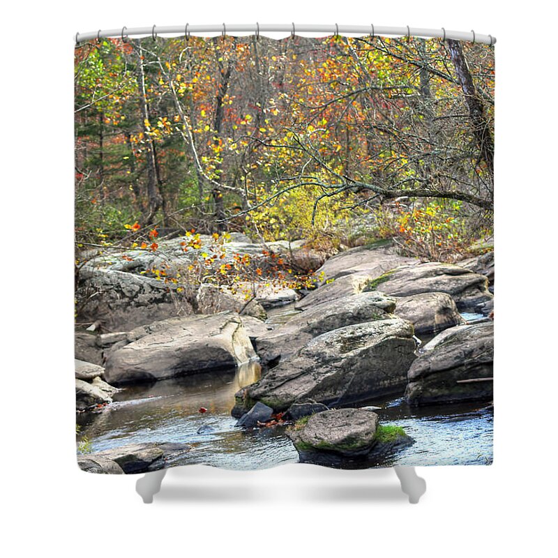 Creek Shower Curtain featuring the photograph A Light In The Forest - Unami Creek - Green Lane PA by Carol Senske