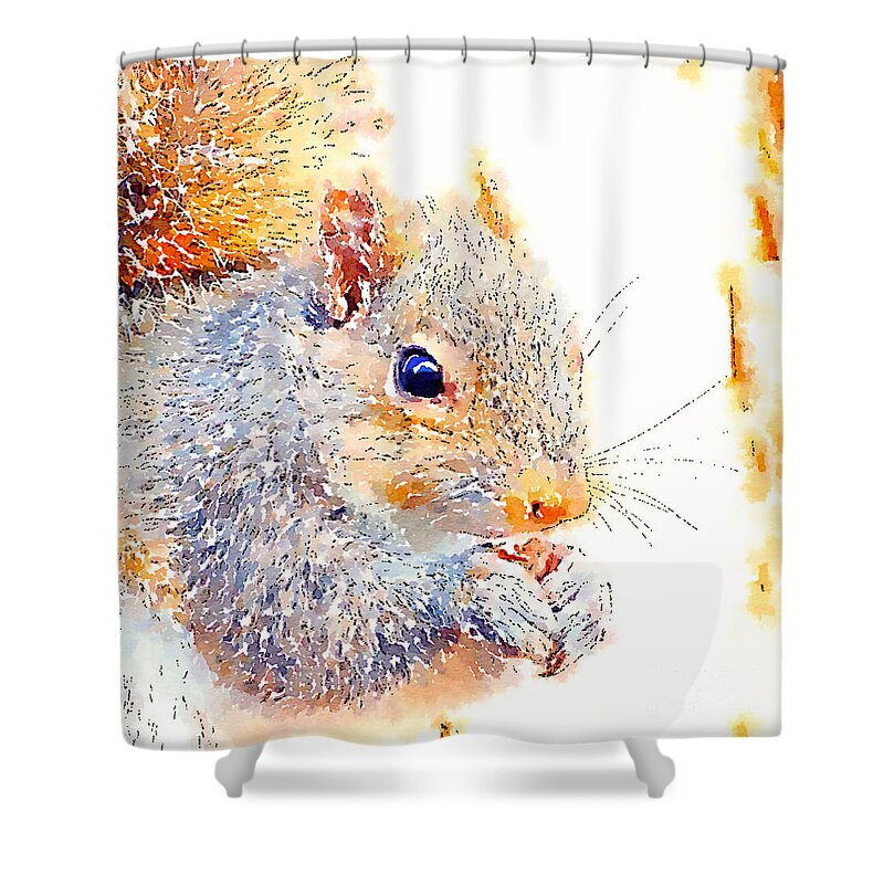 Squirrel Art Shower Curtain featuring the photograph A Little Bit Squirrely by Kerri Farley