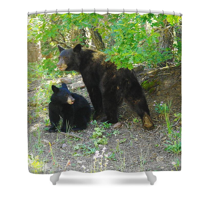 Bears Shower Curtain featuring the photograph A Little Growl Before Departing by Jeff Swan