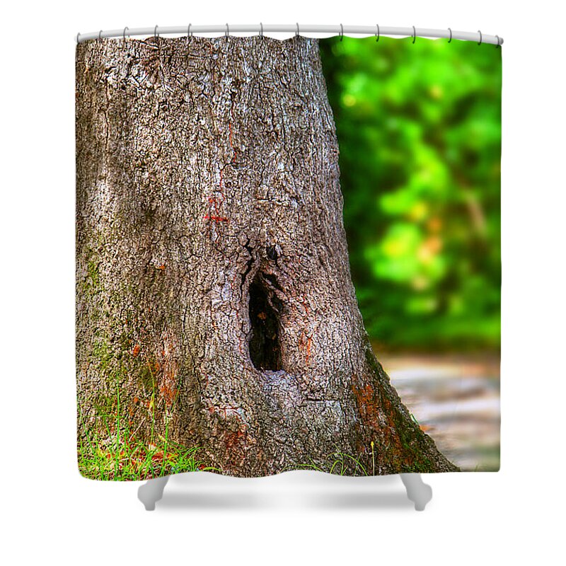 Nature Shower Curtain featuring the photograph A Little Hiding Place by Ester McGuire