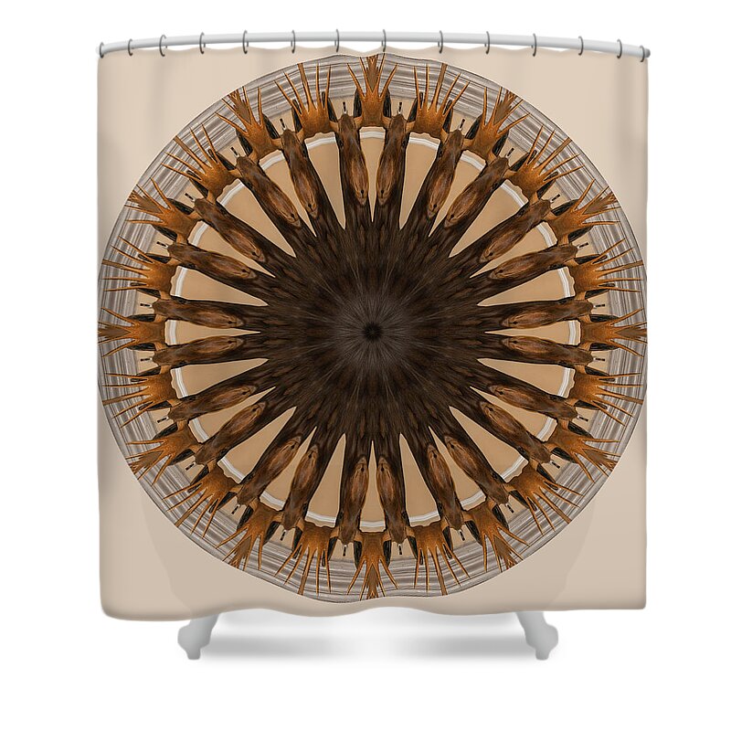 Abstract Shower Curtain featuring the photograph A lot of Moose by Brenda Jacobs