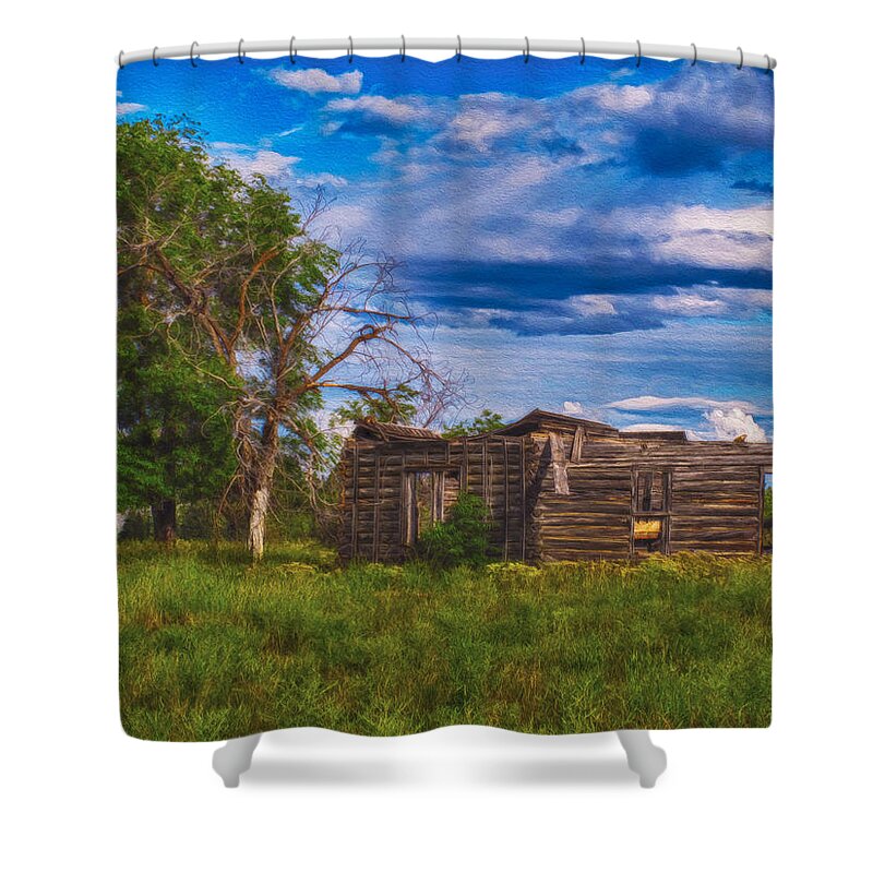 North Cascades Shower Curtain featuring the painting A Moment in Time by Omaste Witkowski