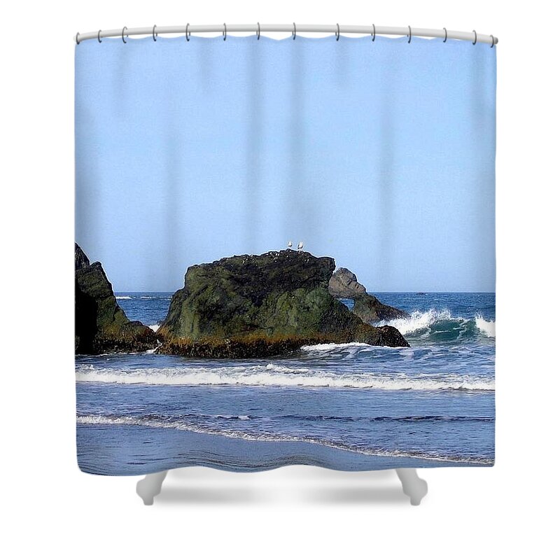 Seagulls Surveying The Beach Shower Curtain featuring the photograph A Pair Of Seagulls On A Rock by Will Borden