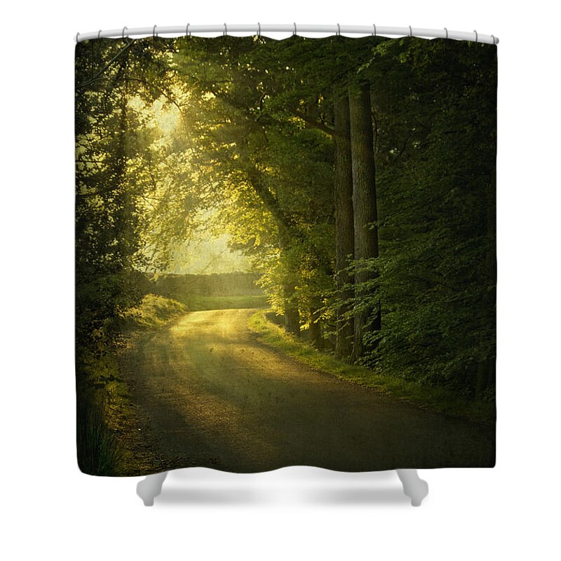Road Shower Curtain featuring the photograph A Path To The Light by Evelina Kremsdorf
