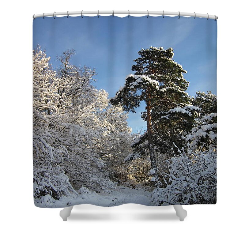 Tree Shower Curtain featuring the photograph A perfect winterday by Rosita Larsson