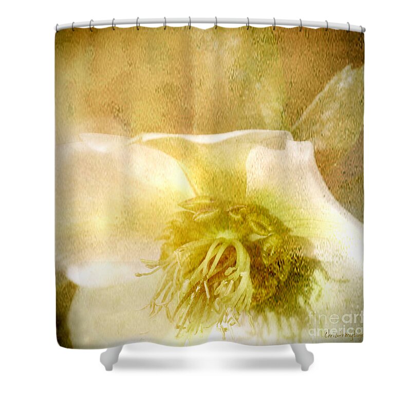  Chrisarmytage Shower Curtain featuring the photograph A Prayer by Chris Armytage