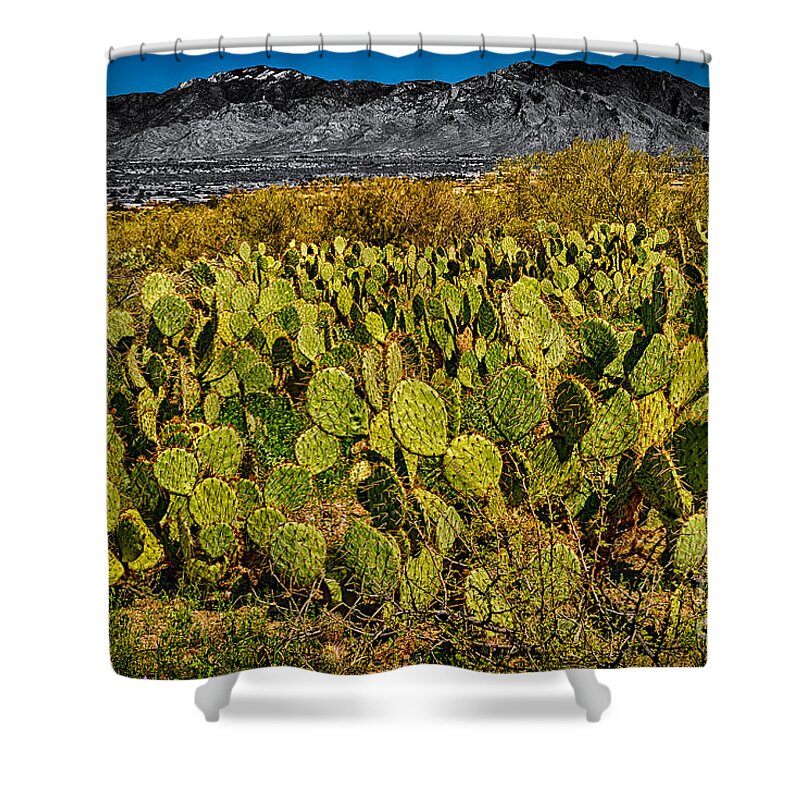 Arizona Shower Curtain featuring the photograph A Prickly Pear View by Mark Myhaver