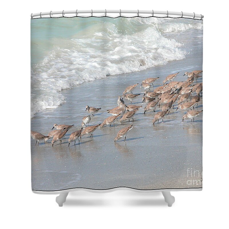 Fauna Shower Curtain featuring the photograph A Quick Bite by Mariarosa Rockefeller