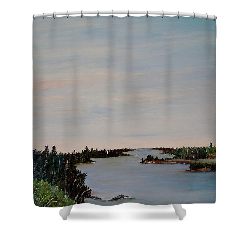 Manigotagan River Shower Curtain featuring the painting A river shoreline by Marilyn McNish