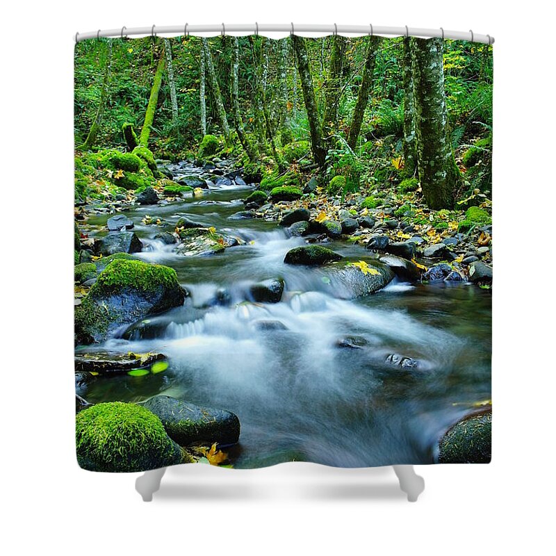 Rivers Shower Curtain featuring the photograph A Small Song In The Big Beauty by Jeff Swan