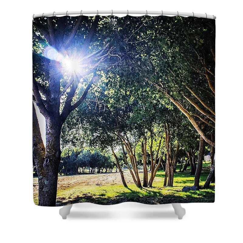 Beauty Shower Curtain featuring the photograph A Spark Through Leaves And Limbs by Aleck Cartwright