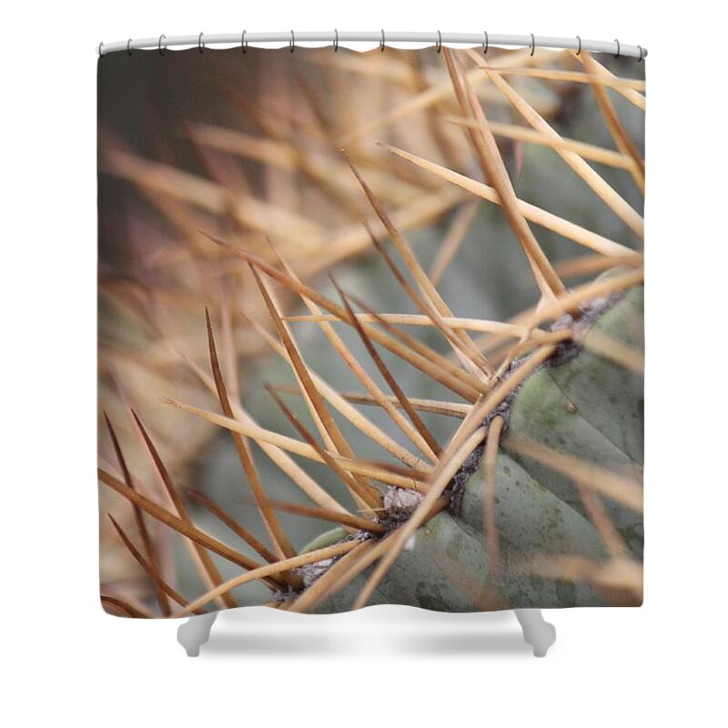 Cactus Shower Curtain featuring the photograph A Spiny Situation by Amy Gallagher