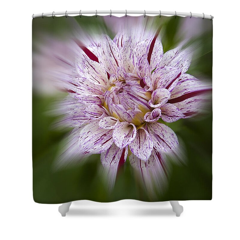 Flowers Shower Curtain featuring the photograph A Taste of Wine by Penny Lisowski