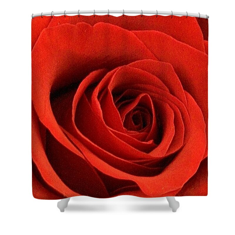 Flora Shower Curtain featuring the photograph A Touch of Red Velvet by Bruce Bley