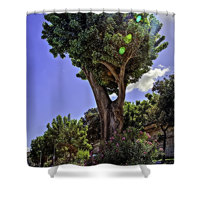 Tree Shower Curtain featuring the photograph A Tree by Madeline Ellis