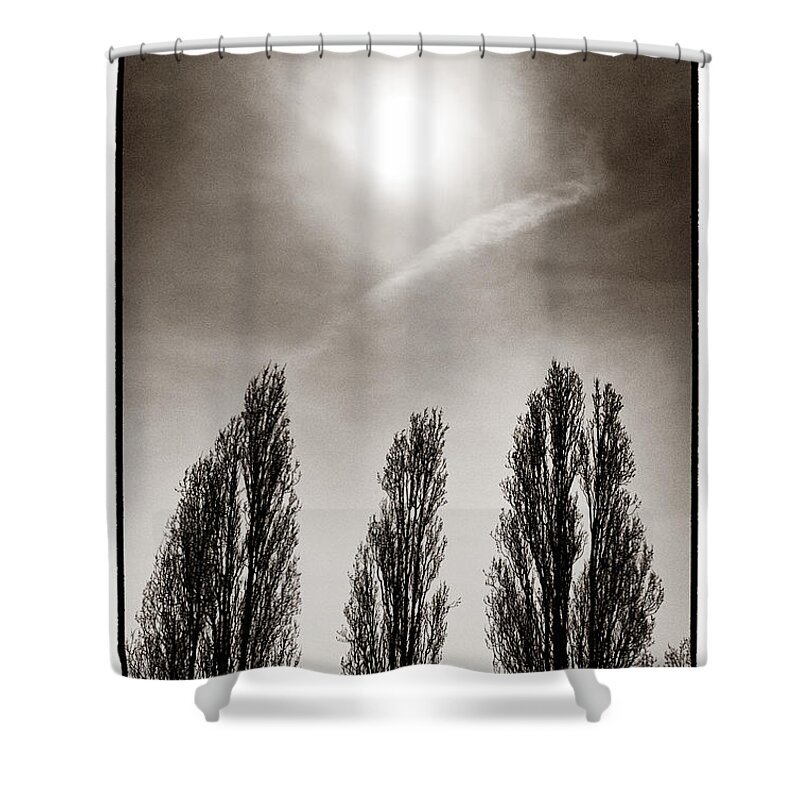 Foliage Shower Curtain featuring the photograph A Trio of Trees 2 by Lenny Carter