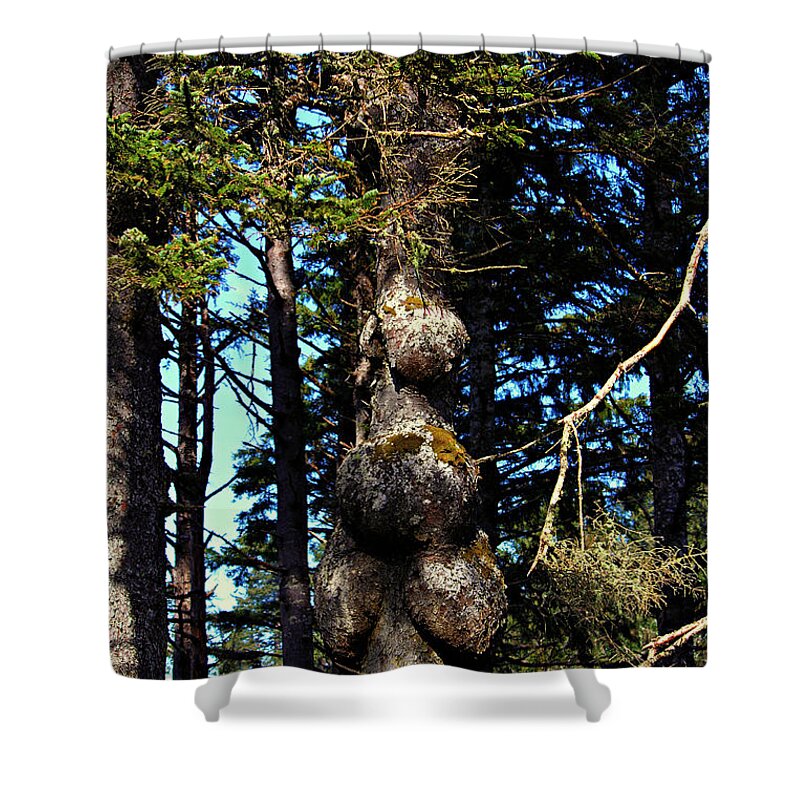 Tree Shower Curtain featuring the photograph A True Oddity by Jeanette C Landstrom