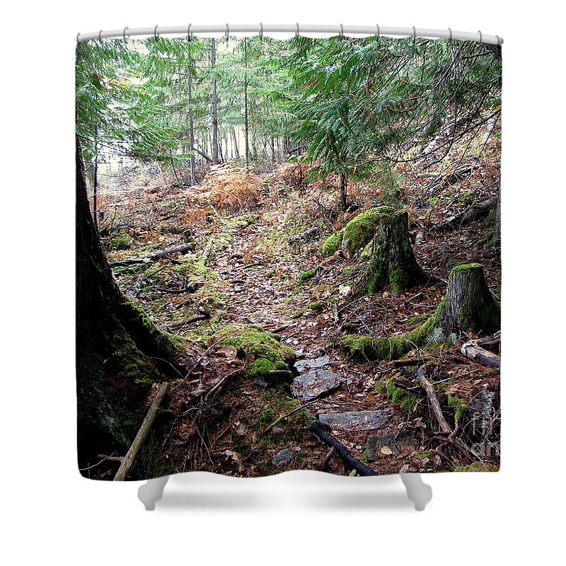 Forest Shower Curtain featuring the photograph A Walk in the Forest by Leone Lund
