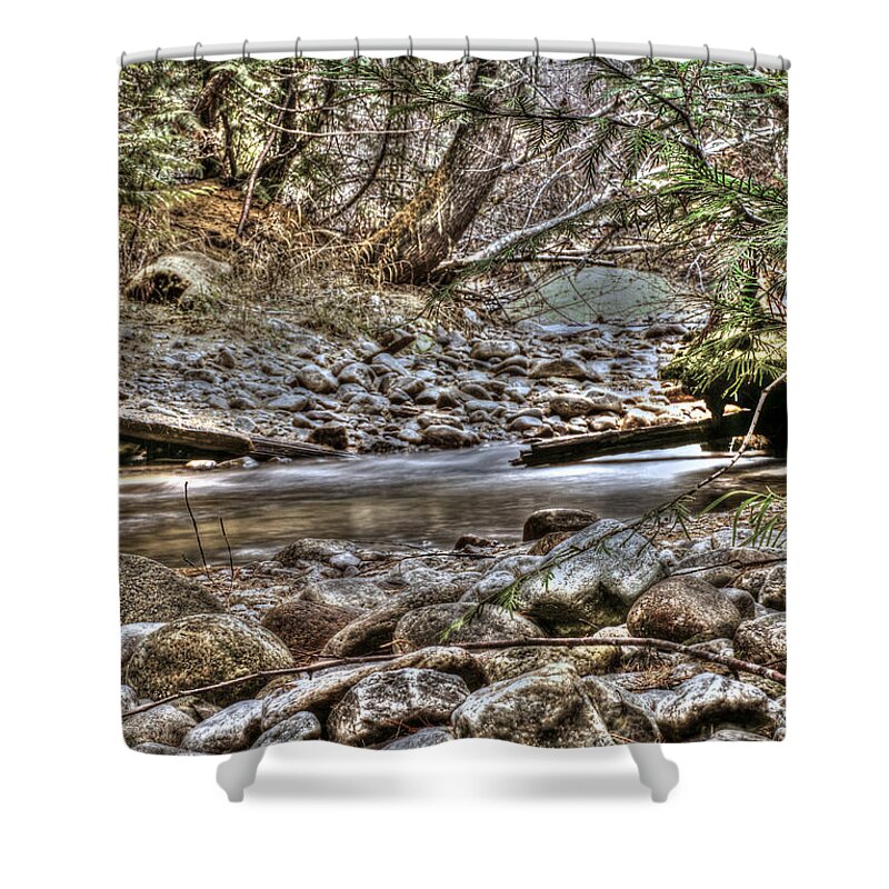 Stream Shower Curtain featuring the photograph A walk in the woods by Loni Collins