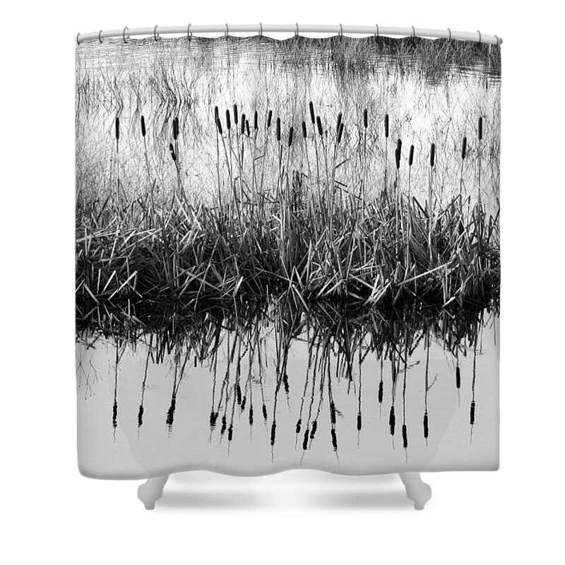 Cattails Shower Curtain featuring the photograph A Winter Bouquet by I'ina Van Lawick