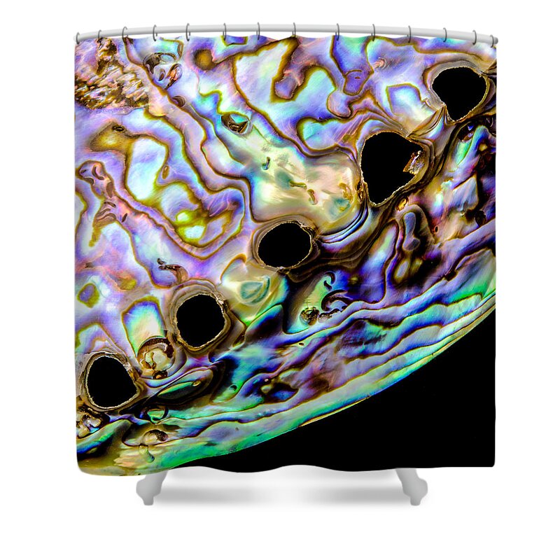 Sea Shell Shower Curtain featuring the photograph Abalone shell closeup by Jim Hughes