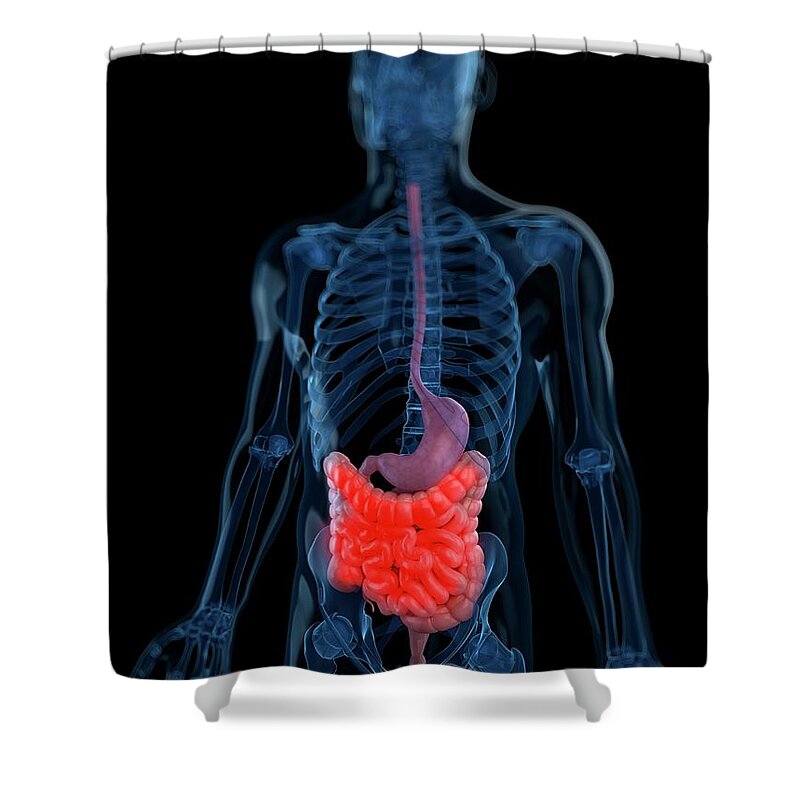 Physiology Shower Curtain featuring the digital art Abdominal Pain, Artwork by Sciepro
