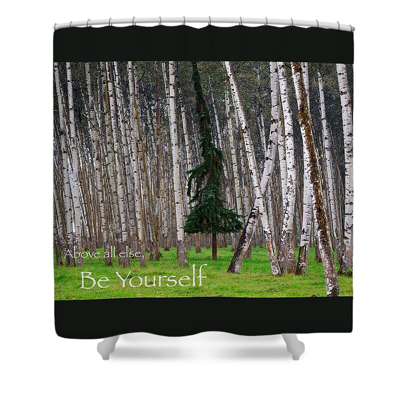 Trees Shower Curtain featuring the photograph Above All Else Be Yourself by Mary Lee Dereske