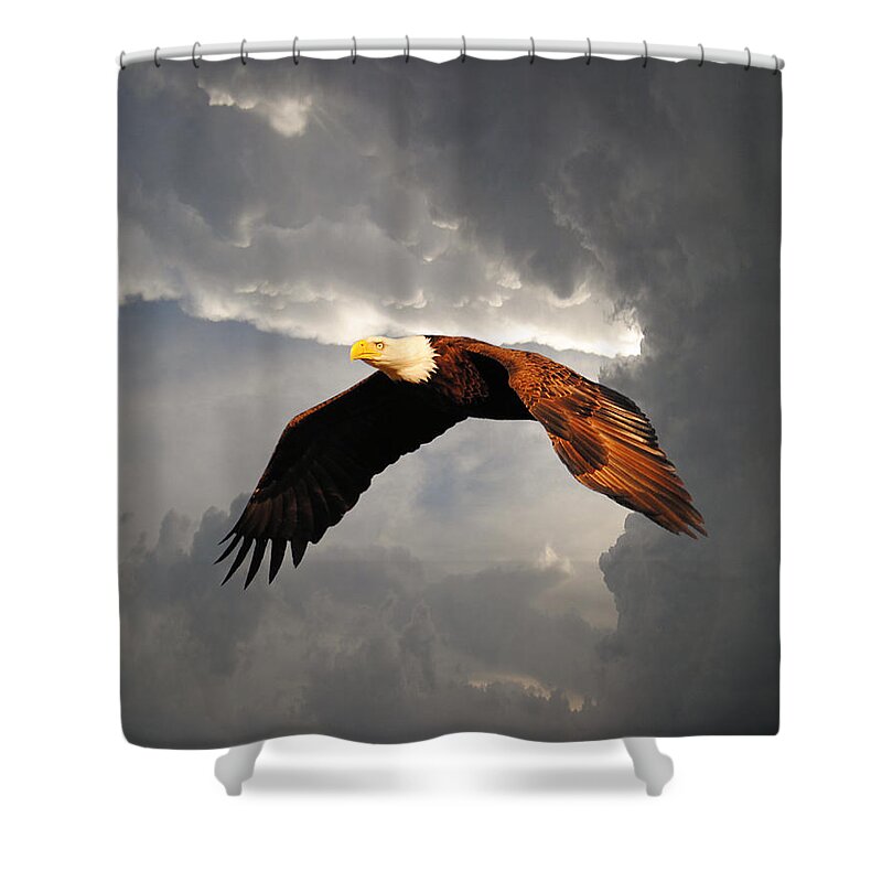 Bald Eagle Shower Curtain featuring the photograph Above the Storm by Jai Johnson