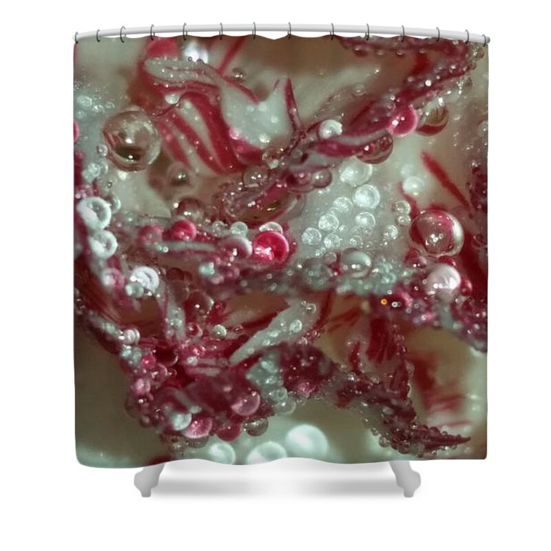 Macro Shower Curtain featuring the photograph Abstract Carnation 2 by Leara Nicole Morris-Clark