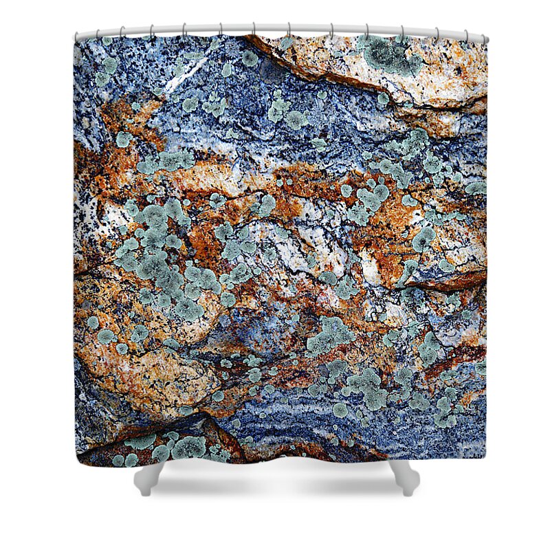 Metro Shower Curtain featuring the photograph Abstract Nature by Metro DC Photography