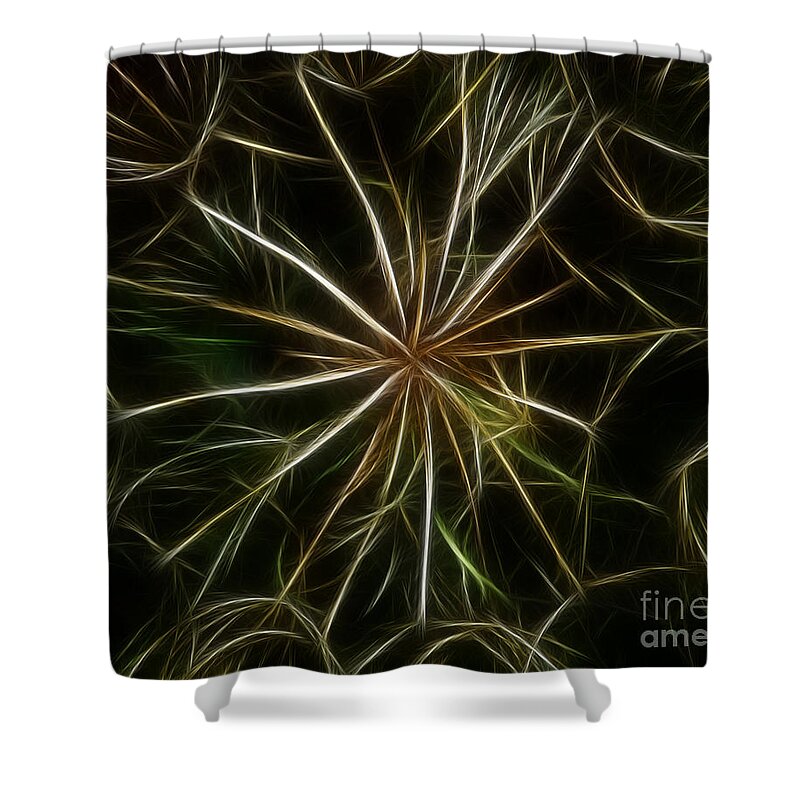 Abstract Shower Curtain featuring the photograph Abstract of Nature 2 by Vivian Christopher