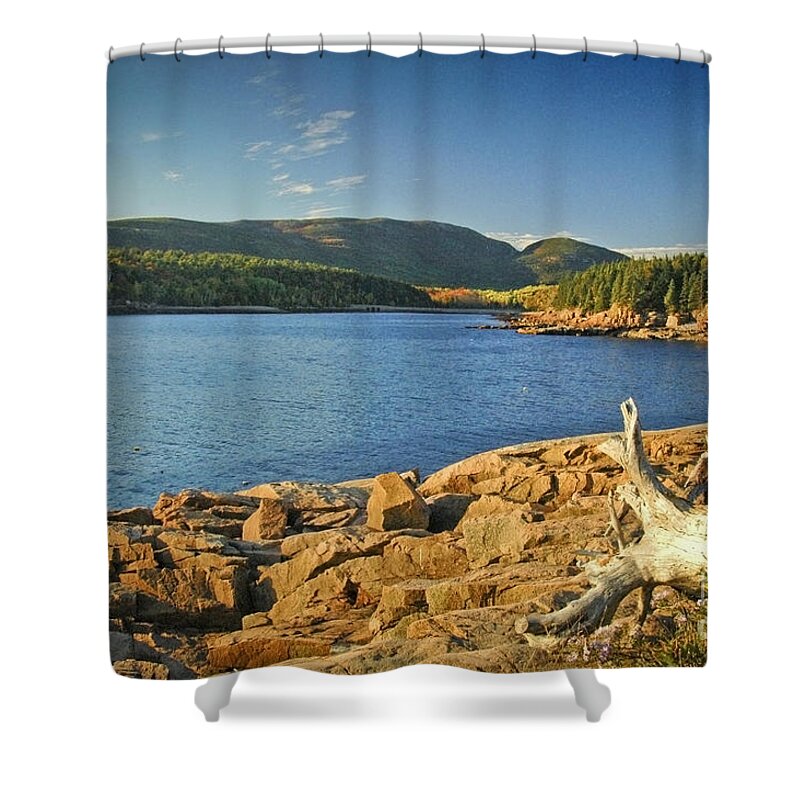 Acadia National Park Shower Curtain featuring the photograph Acadia Otter Cove by Alana Ranney