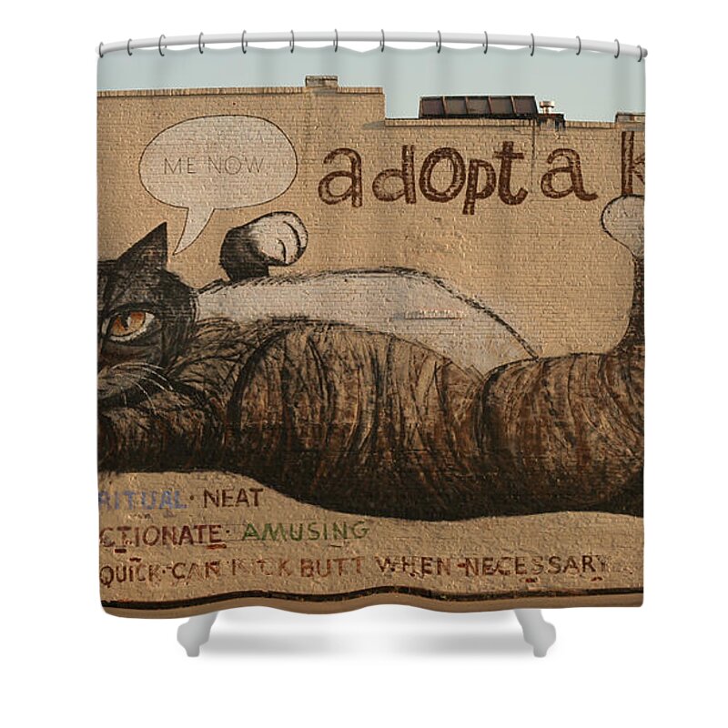 Mural Shower Curtain featuring the painting Adopt a Kat or Me Now by Blue Sky