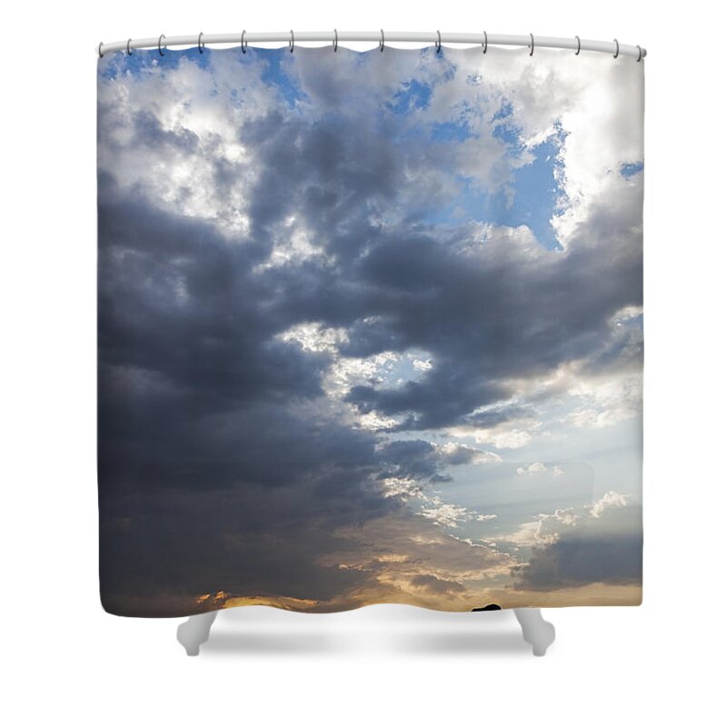 Vincent Grafhorst Shower Curtain featuring the photograph African Elephants At Sunset Botswana by Vincent Grafhorst