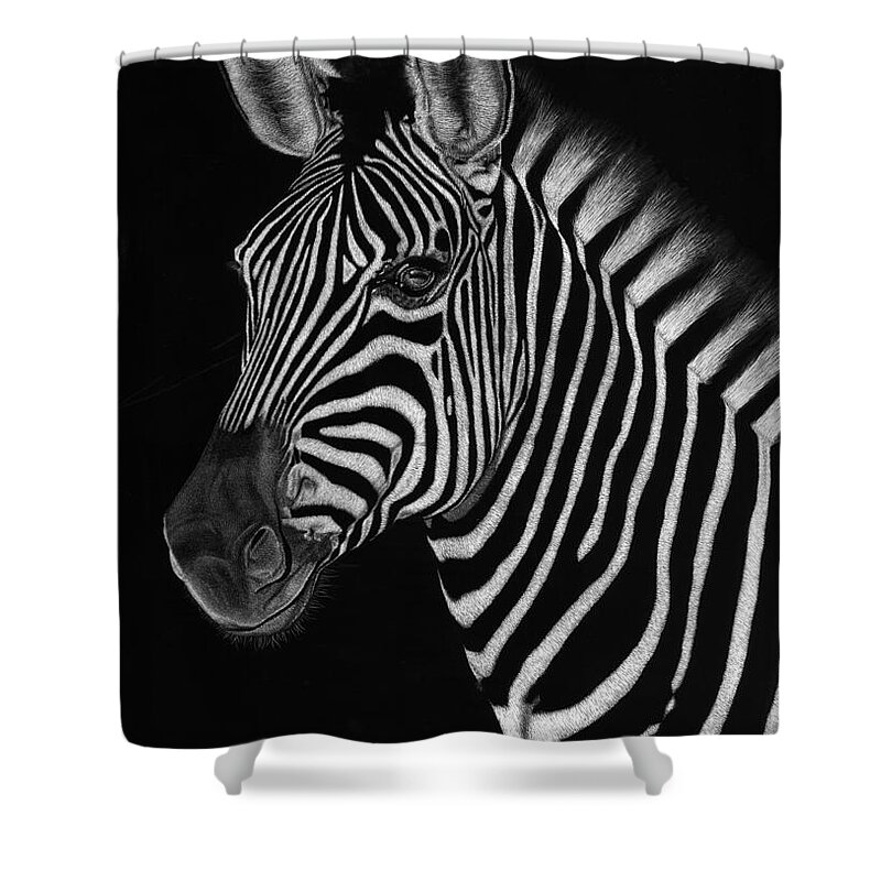 Zebra Shower Curtain featuring the drawing African Stallion by Sheryl Unwin