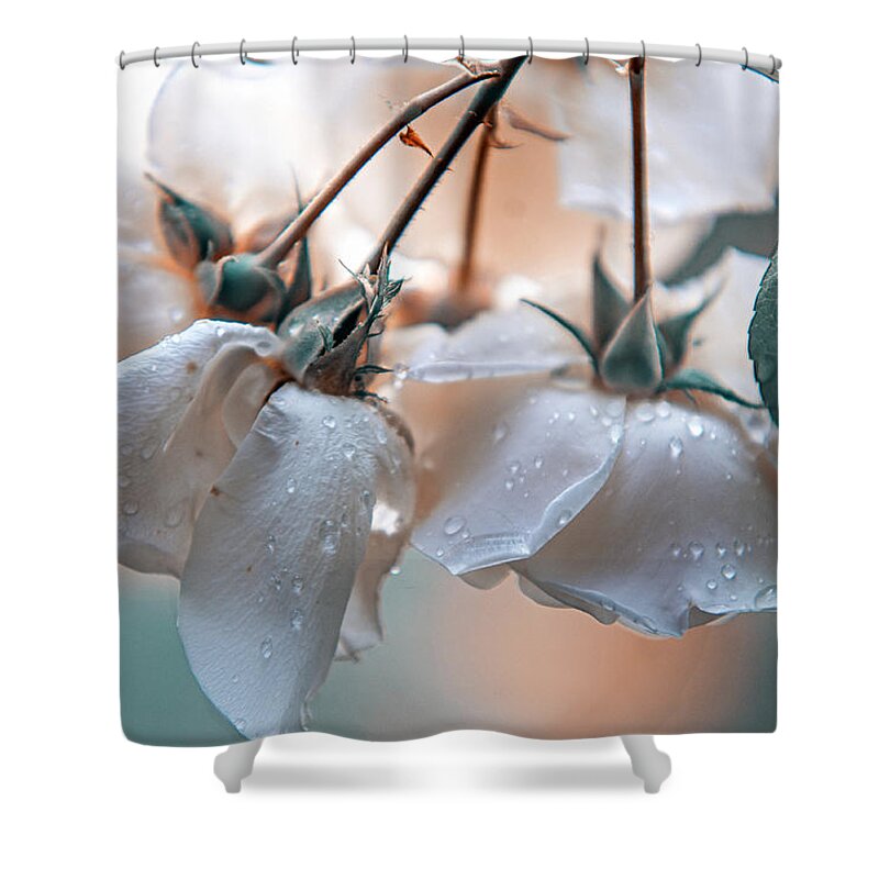 Nature Shower Curtain featuring the photograph After Morning Rain. Nature in Alien Skin by Jenny Rainbow