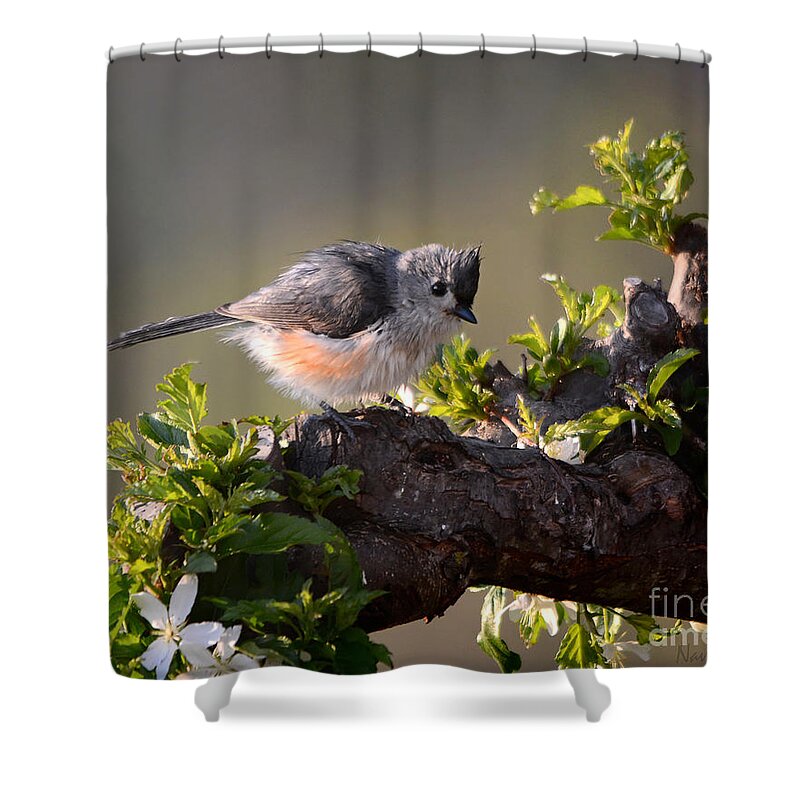 Nature Shower Curtain featuring the photograph After the Bath by Nava Thompson