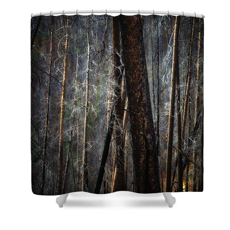 Newel Hunter Shower Curtain featuring the photograph After the Burn 6 by Newel Hunter