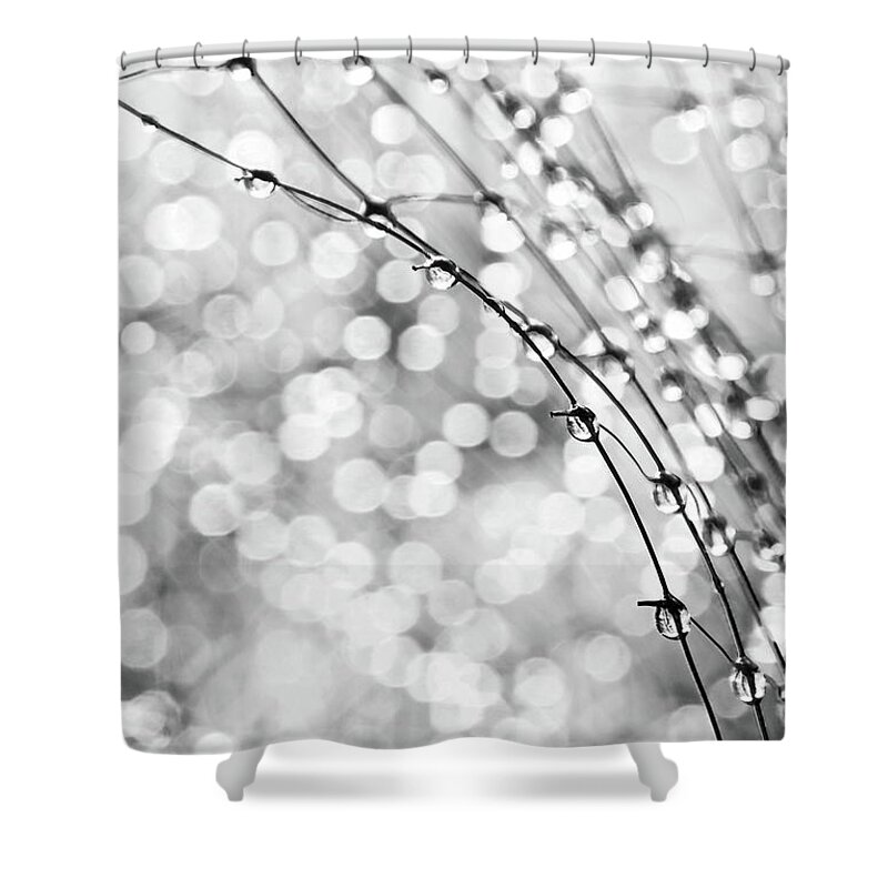 Macro Shower Curtain featuring the photograph After The Rain by Theresa Tahara