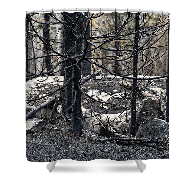 Canada Shower Curtain featuring the photograph Aftermath by Doug Gibbons