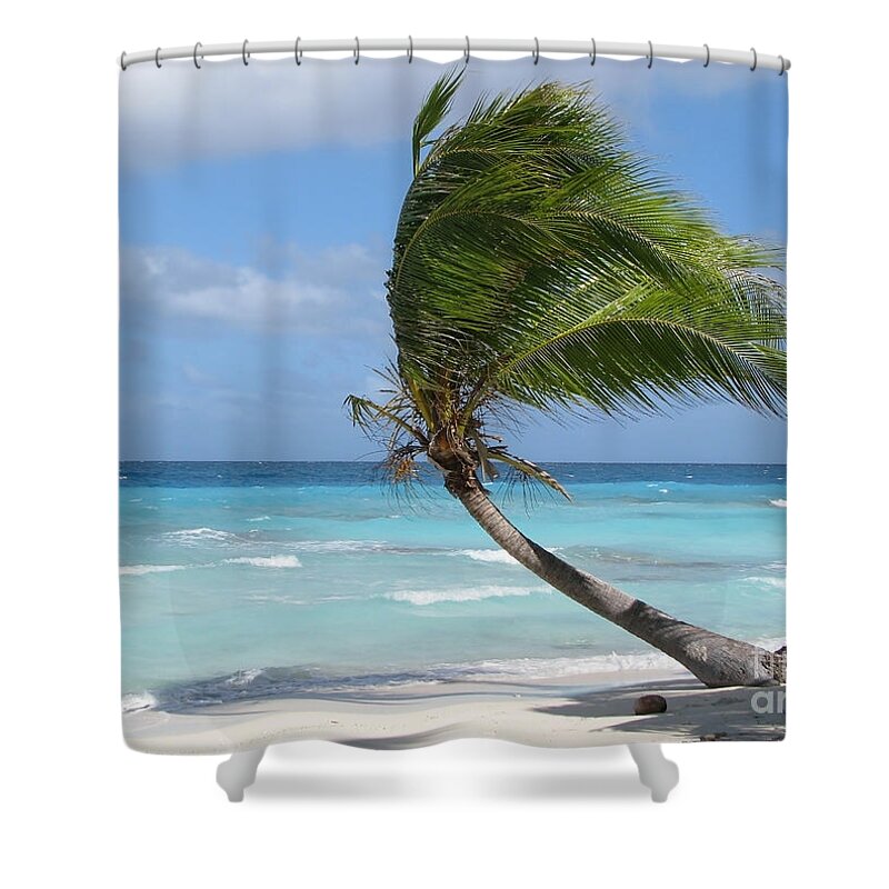 Wind Shower Curtain featuring the photograph Against The Winds by Jola Martysz