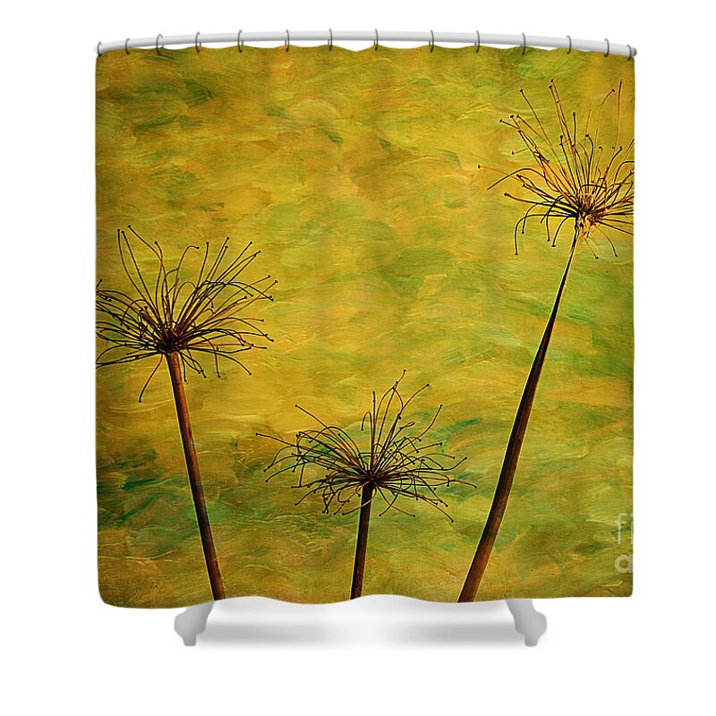 Agapanthus Shower Curtain featuring the photograph Agapanthus Green and Gold by Judi Bagwell