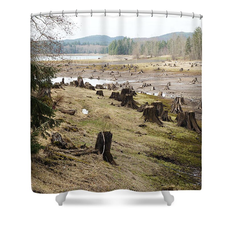 Wall Art Shower Curtain featuring the photograph Alder Lake by Ron Roberts
