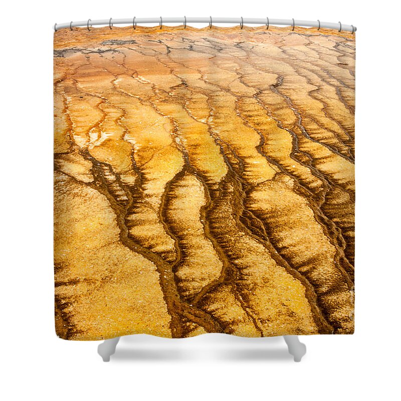 Algae Patterns Shower Curtain featuring the photograph Algae Patterns at the Grand Prismatic Spring in Midway Geyser Basin by Fred Stearns